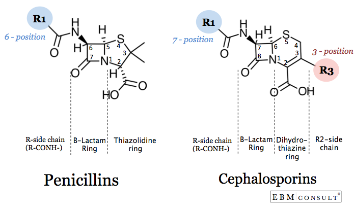 penicillin-and-cephalosporin-cross-reactivity-and-risk-for-allergic